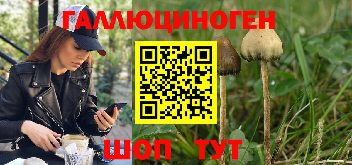 Галлюциногенные грибы Psilocybe  Псилоцибиновые грибы Psilocybine cubensis  Вход с VPN  Усолье-Сибирское 