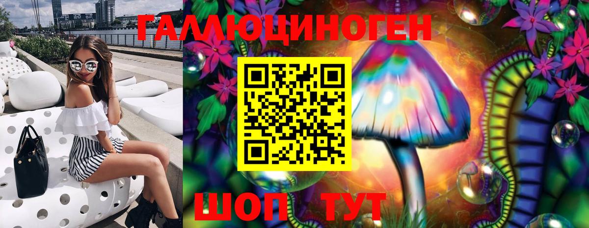 Галлюциногенные грибы Psilocybine cubensis Усолье-Сибирское